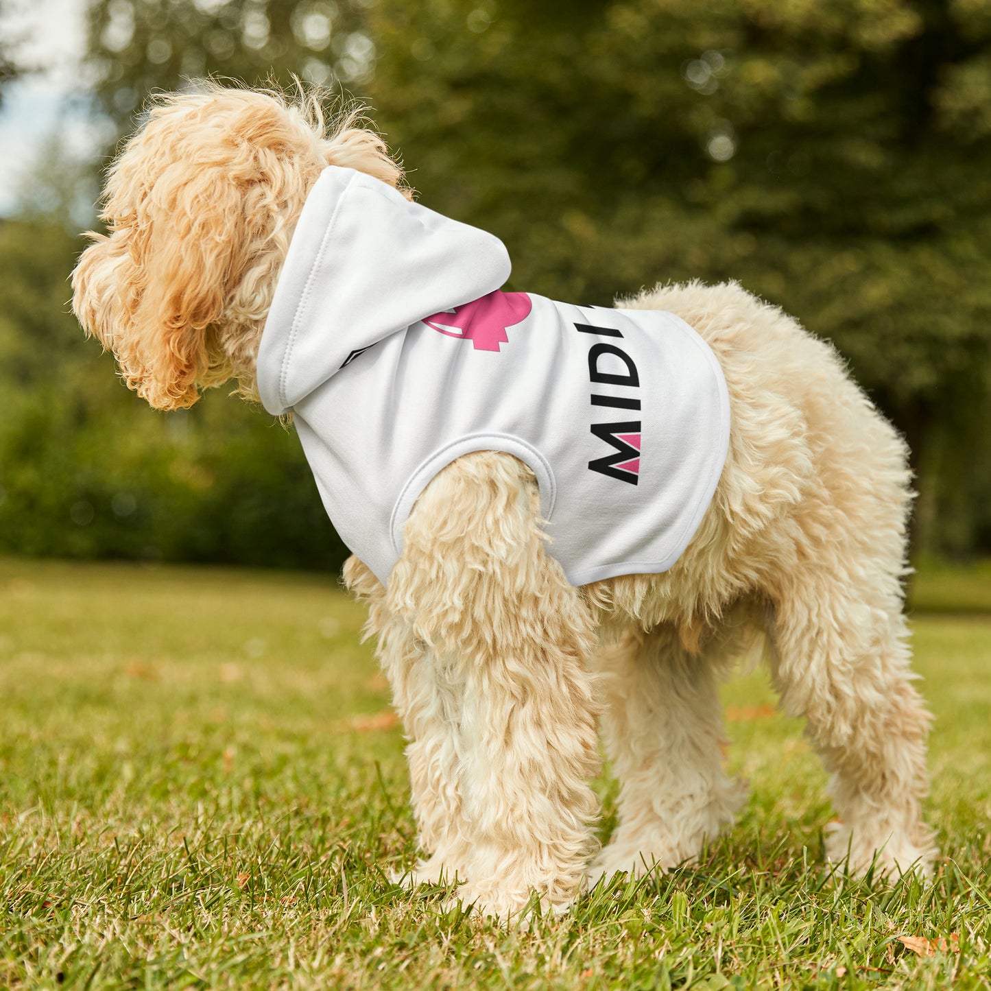 Pet Hoodie