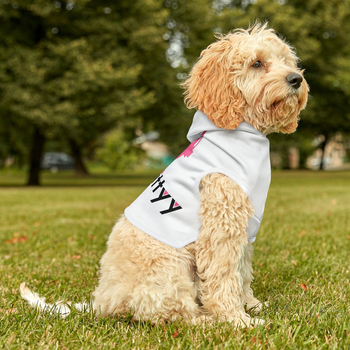 Pet Hoodie
